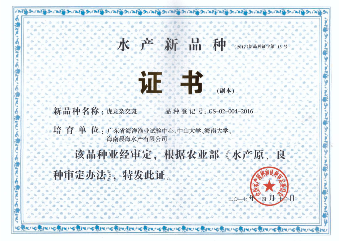 厲害了，我的“虎龍雜交斑”