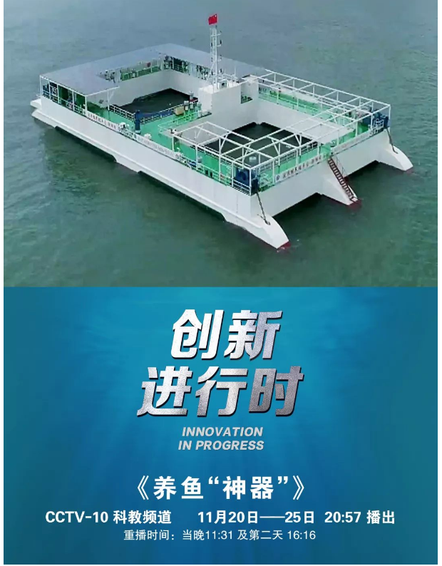 風(fēng)再猛、浪再大，都攔不住我養(yǎng)魚(yú)的雄心！
